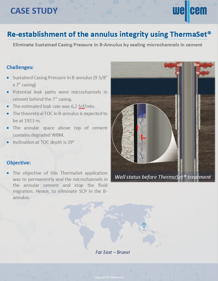 Case Study: B-annulus